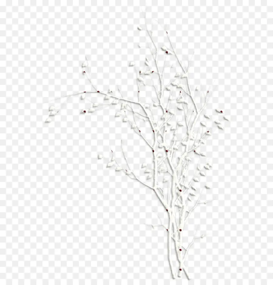 Branche Blanche，Blanc PNG