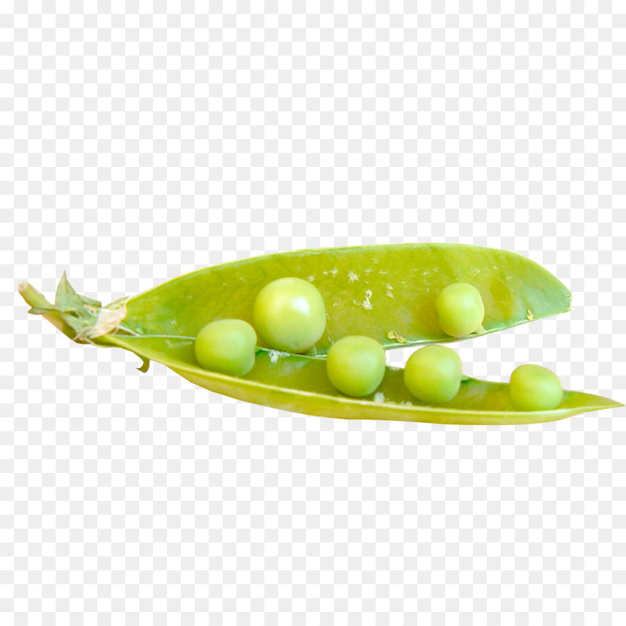 Petits Pois，Vert PNG