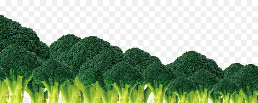 Brocoli Vert，En Bonne Santé PNG