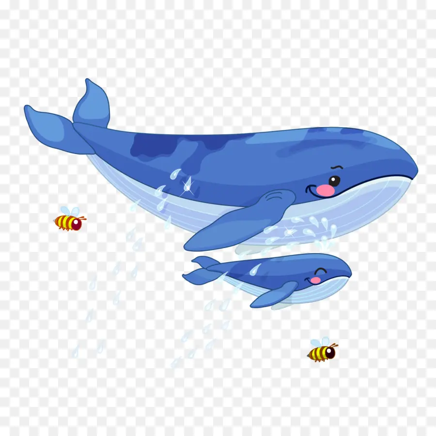 Baleine，Baleine à Arme PNG
