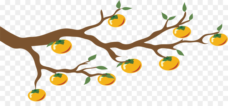 Fruits Oranges，Bifurquer PNG