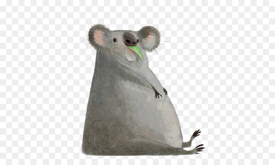 Koala，Dessin Animé PNG