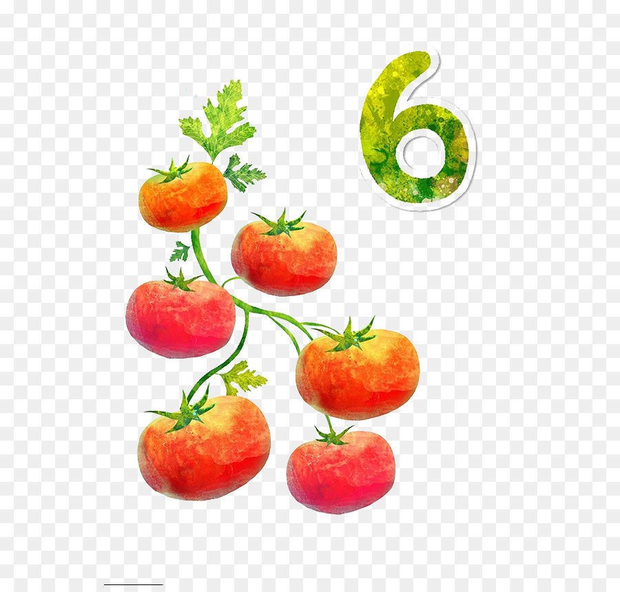 Tomate，Légume PNG