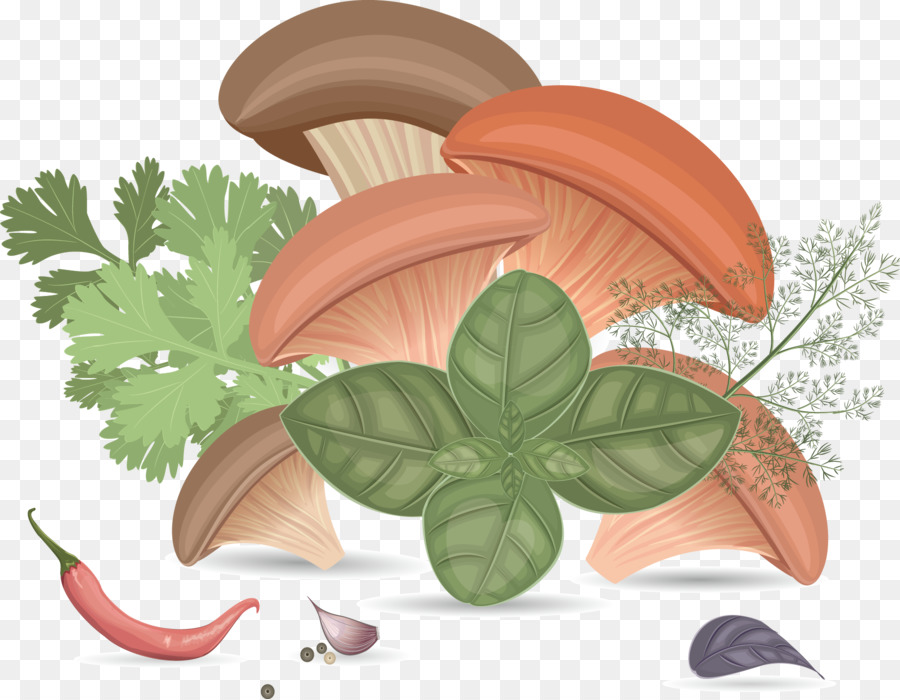 Champignons，Herbes PNG