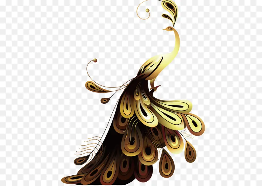 Paon，Plumes PNG