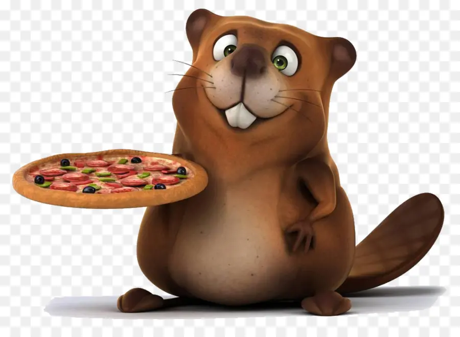 Pizza Castor，Animal PNG