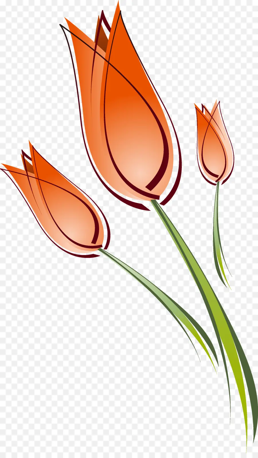 Tulip，Dessin PNG