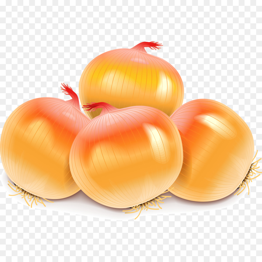 Oignons，Nourriture PNG