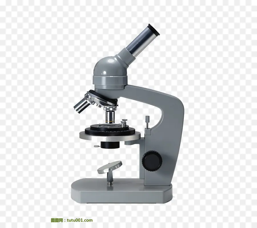 Microscope，Science PNG