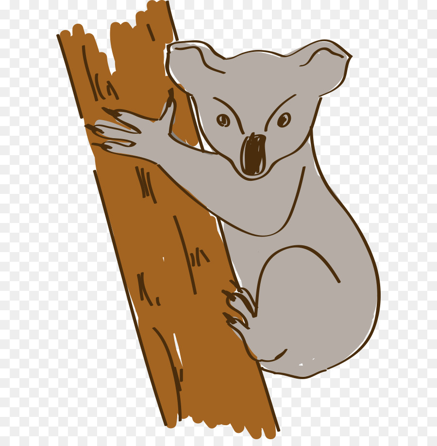Australie，Koala PNG