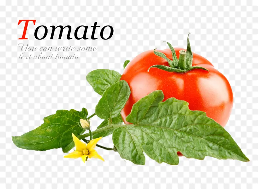 Légume，Tomate PNG