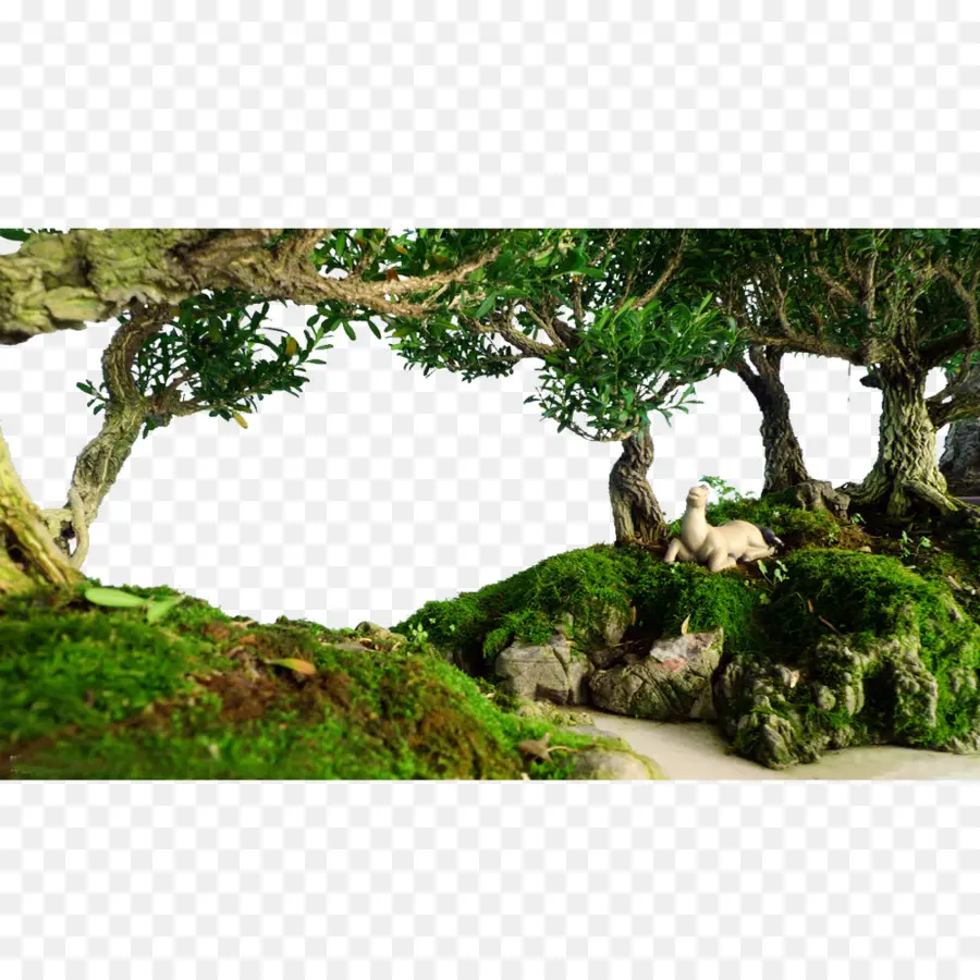 Forêt Miniature，Arbres PNG