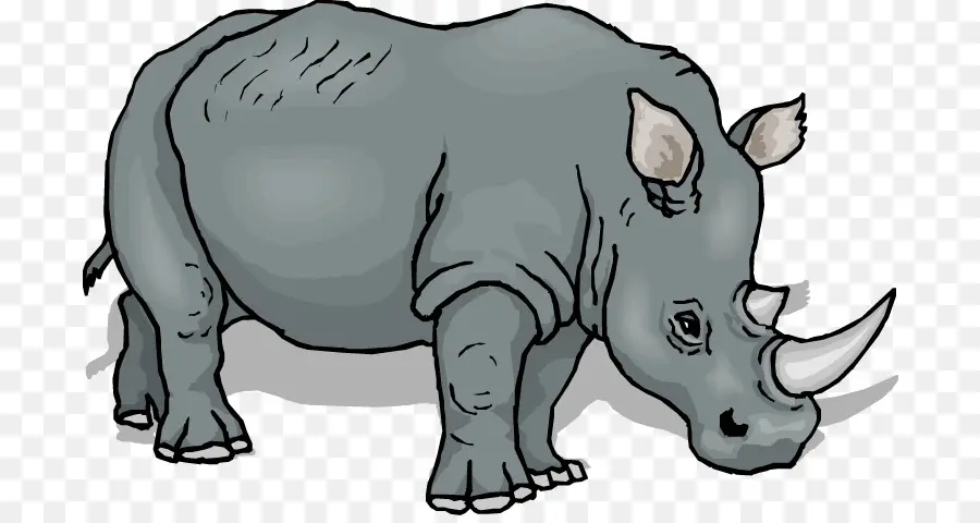 Rhinocéros，Rhinocéros Noir PNG