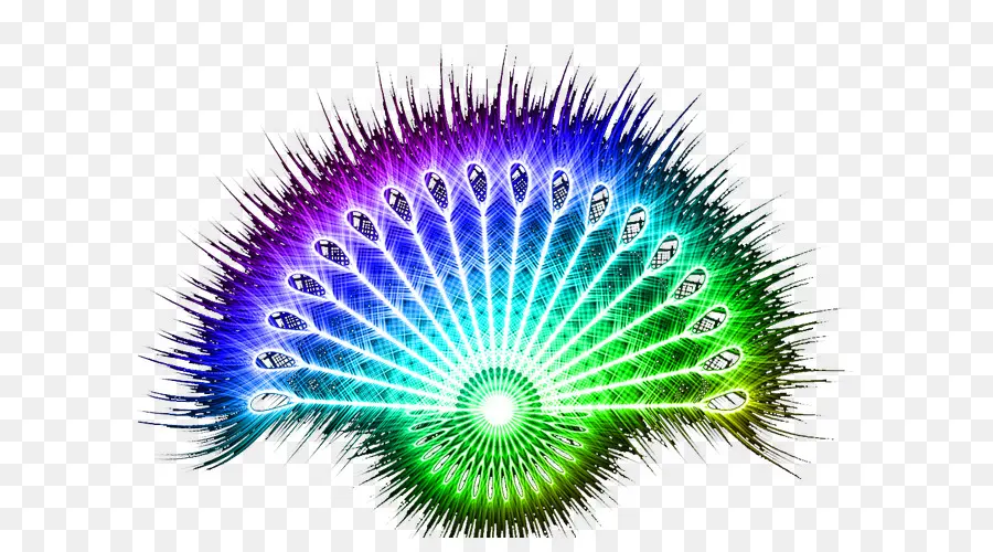 Paon Coloré，Plumes PNG