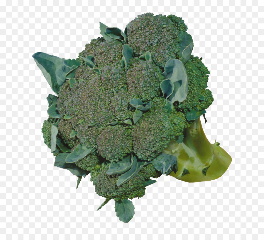 Brocoli，Vert PNG