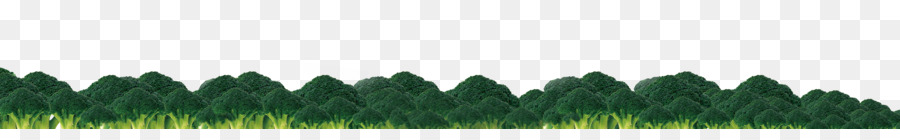 Herbes，Structure PNG