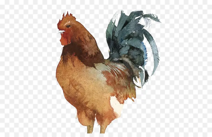 Coq，Poulet PNG