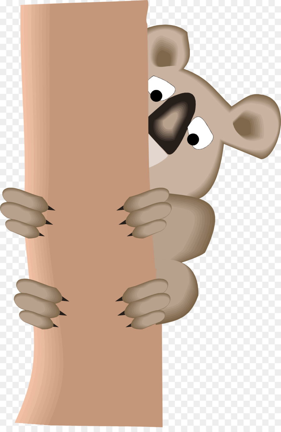 Koala，Arbre PNG