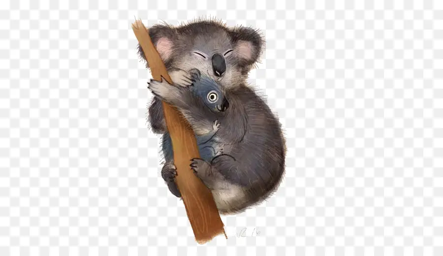 Koala，Arbre PNG