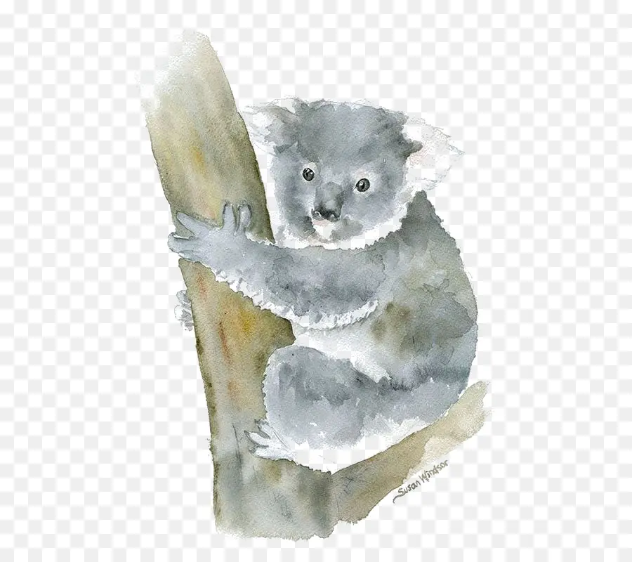 Koala，La Peinture à L'aquarelle PNG