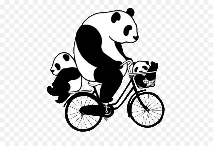 Pandas à Vélo，Vélo PNG