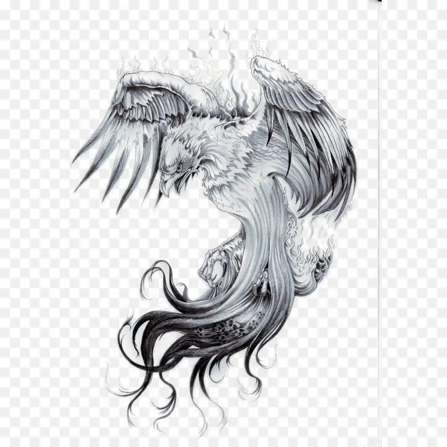 Phoenix，Tatouage PNG