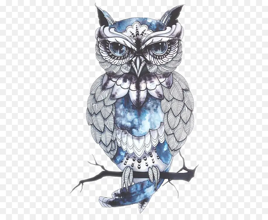 Hibou，Tatouage PNG