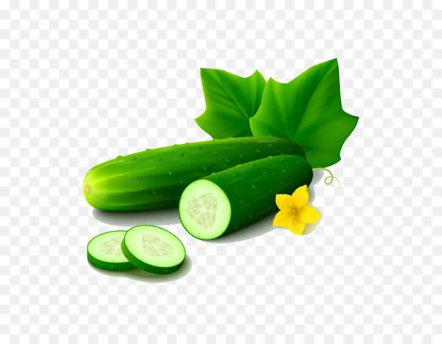 Concombre，Légume PNG