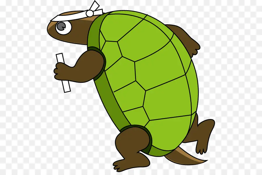 Tortue Ninja，Ninja PNG