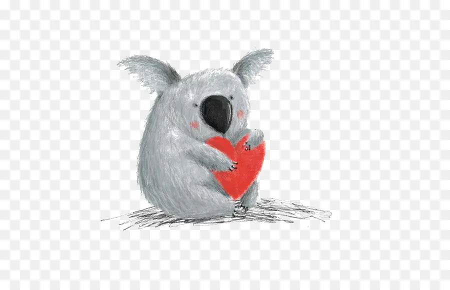 Koala，Dessin PNG