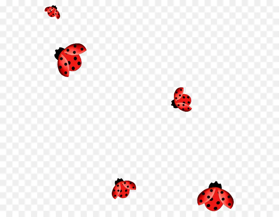 Coccinelles，Rouge PNG