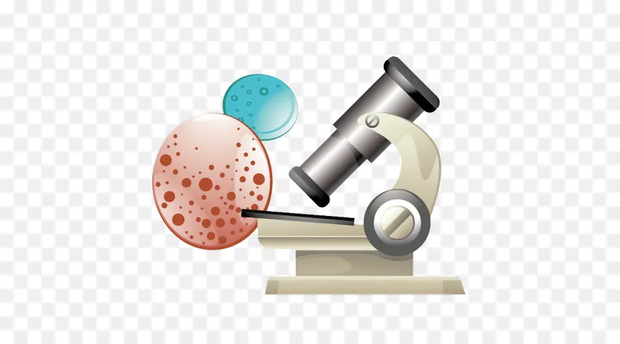 Microscope，Cellules PNG