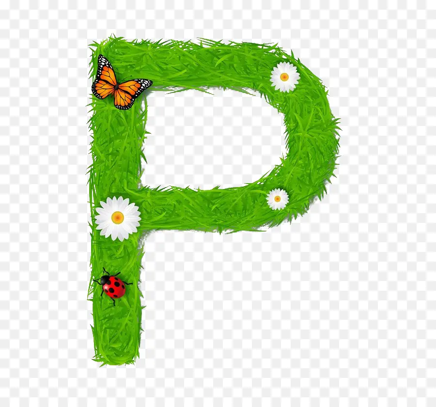 Lettre P，Herbe PNG