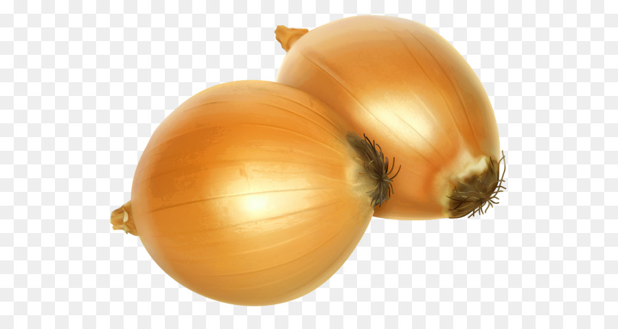 Oignons，Brun PNG