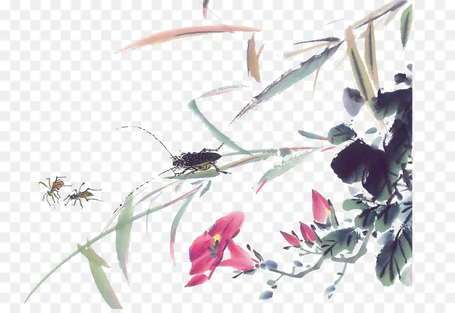 Insectes Et Fleurs，Plantes PNG