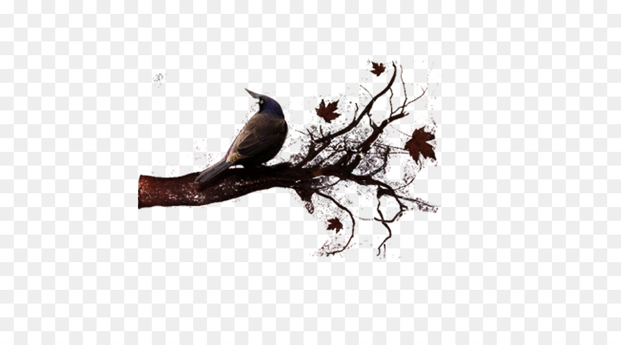 Oiseau Sur Branche，Arbre PNG