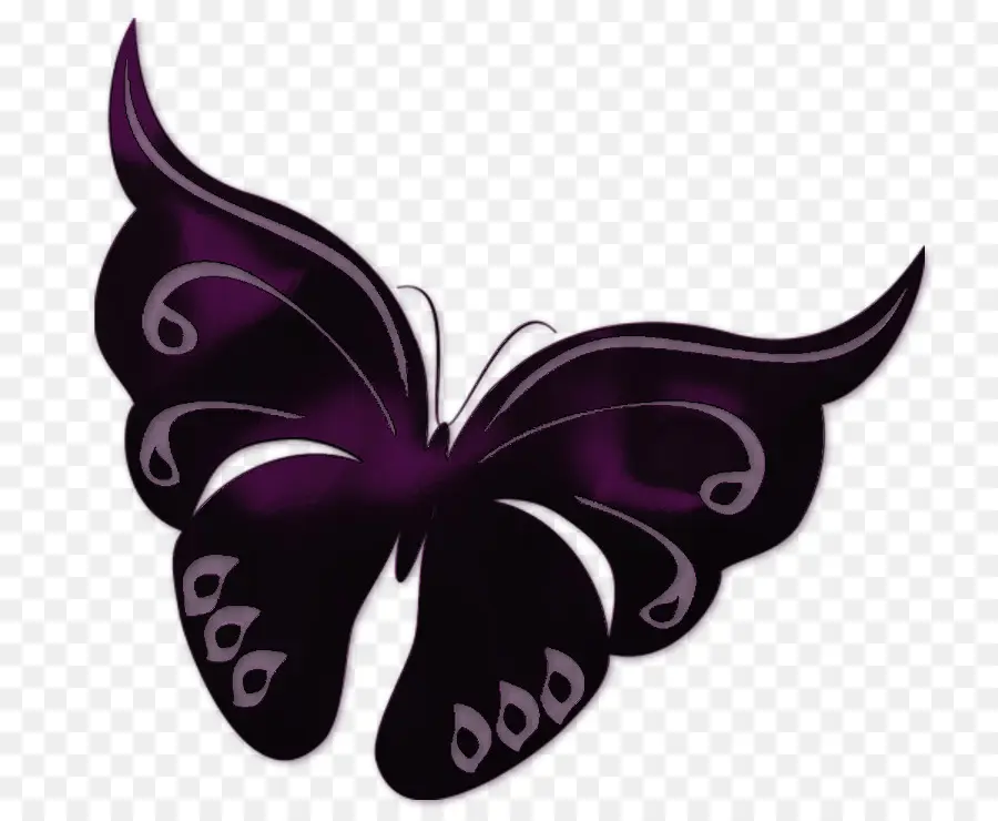 Papillon，Ailes PNG