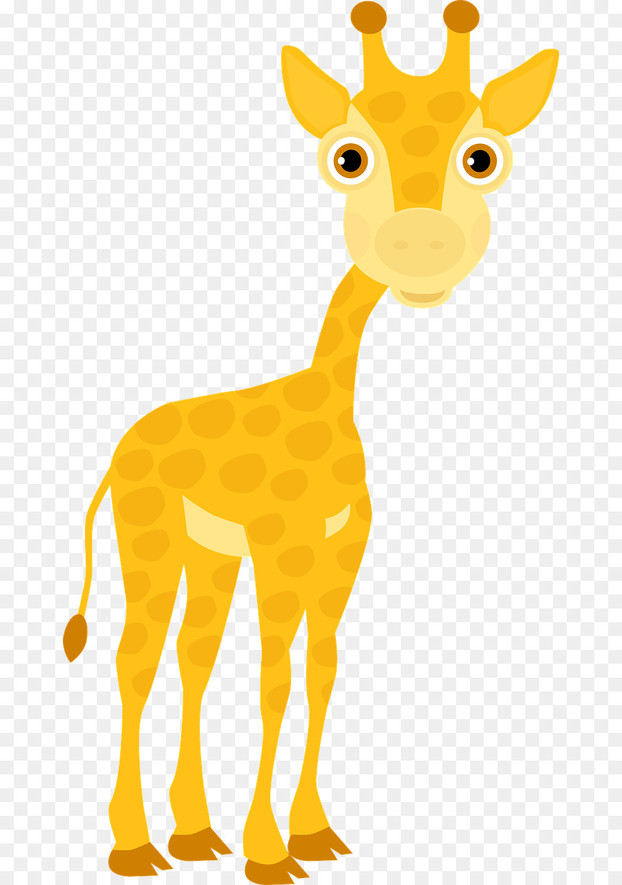 Girafe De Dessin Animé，Mignon PNG