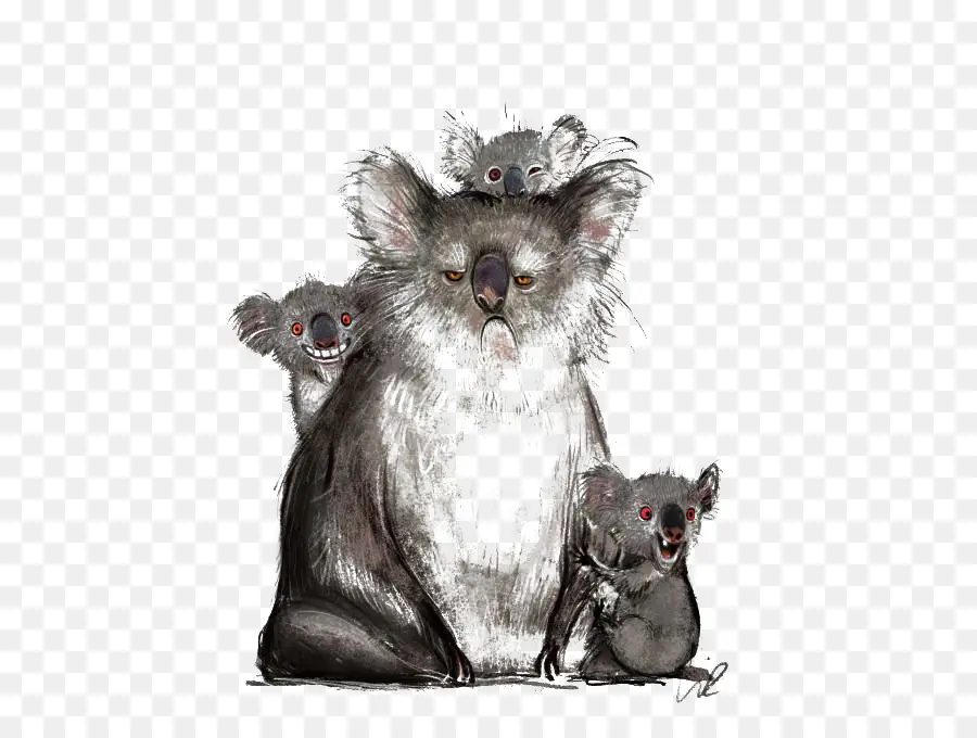 Koala，Dessin PNG