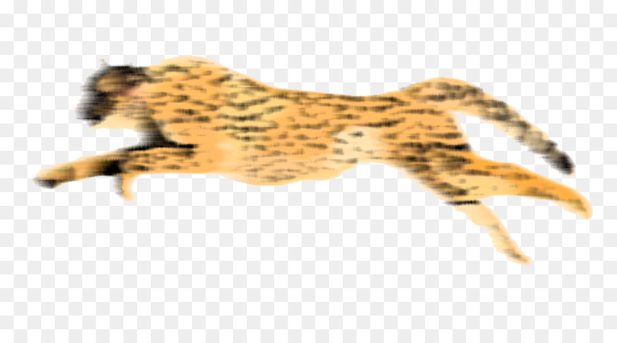 Guépard，Animation PNG