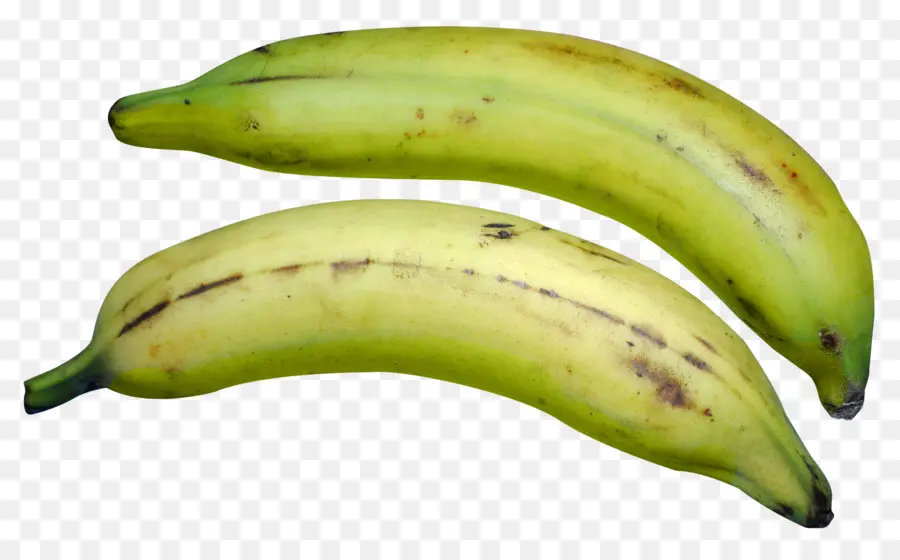 Banane De Cuisine，Banane PNG