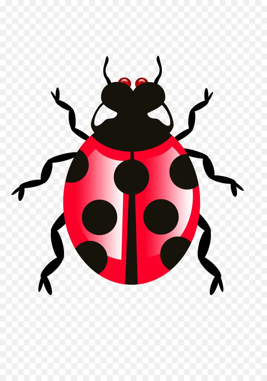 Coccinelle，Bogue PNG