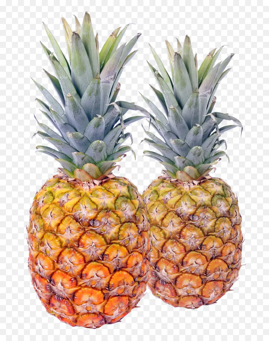 Ananas，Tropical PNG