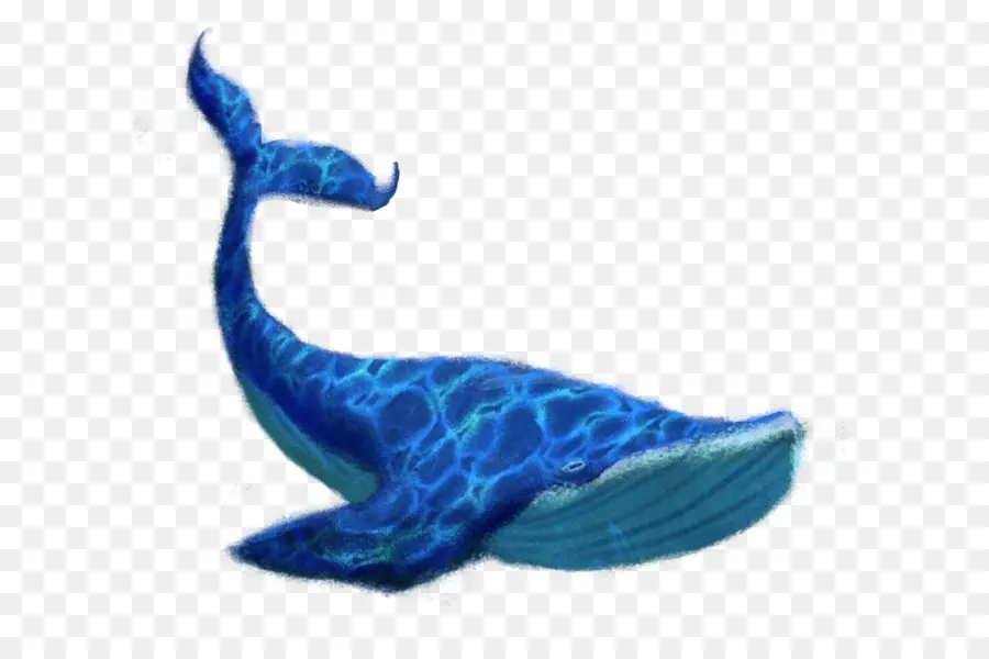 Baleine Bleue，Baleine PNG