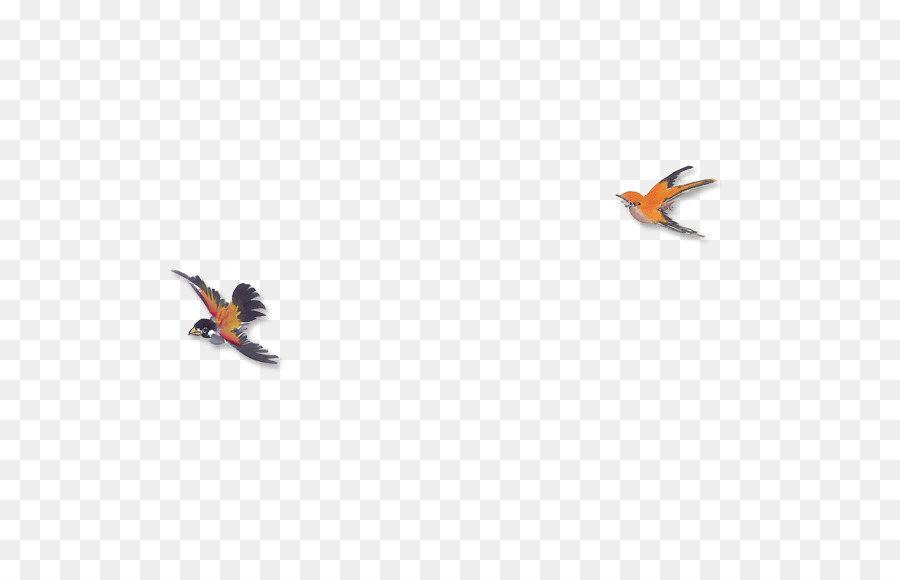 Oiseaux，Troupeau PNG