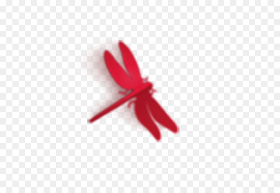 Libellule Rouge，Ailes PNG