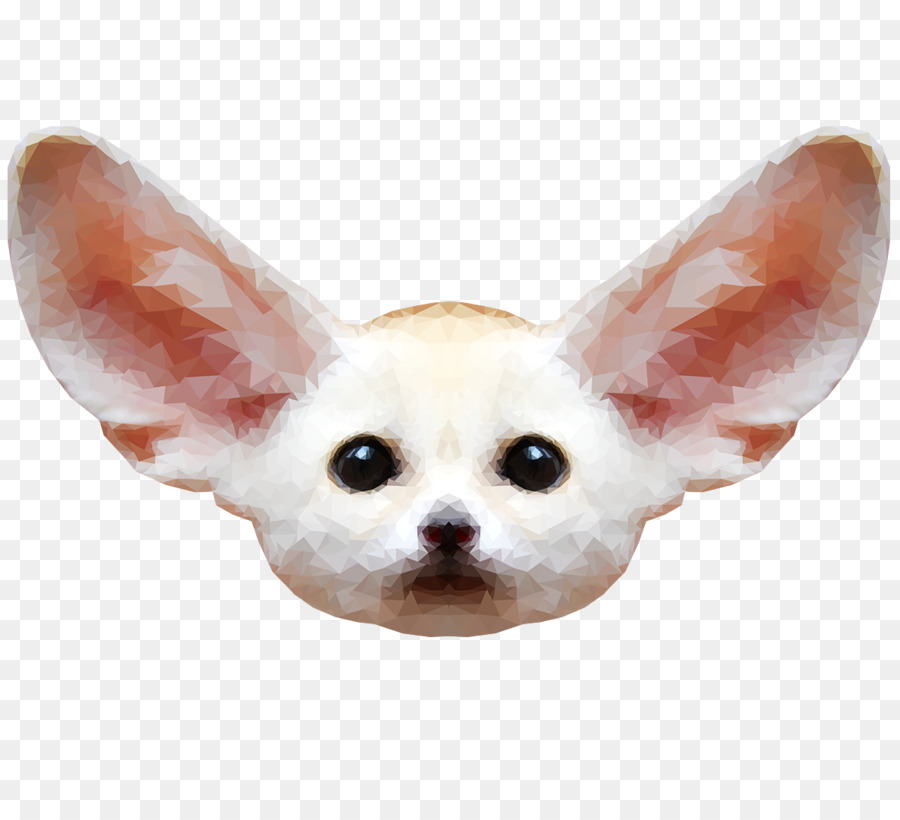 Renard Fennec，Oreilles PNG