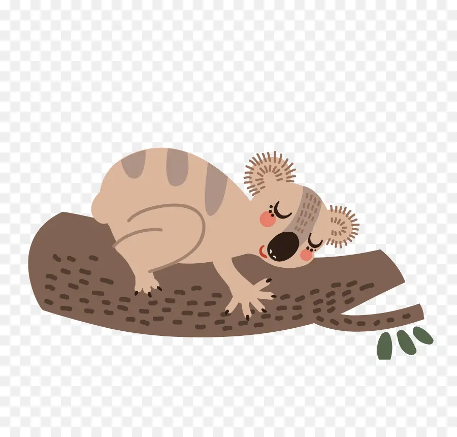 Koala，écureuil PNG