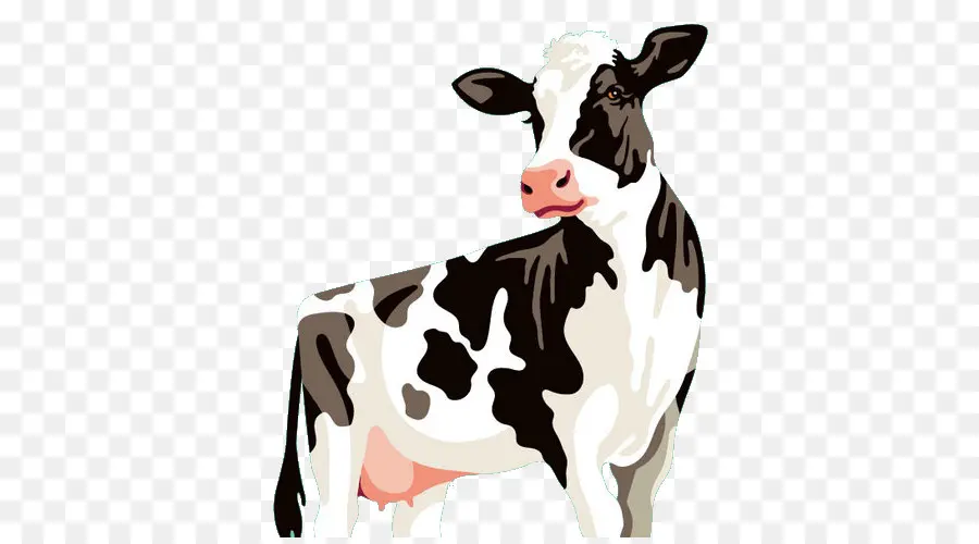 Holstein Friesian Boving，Luduș PNG