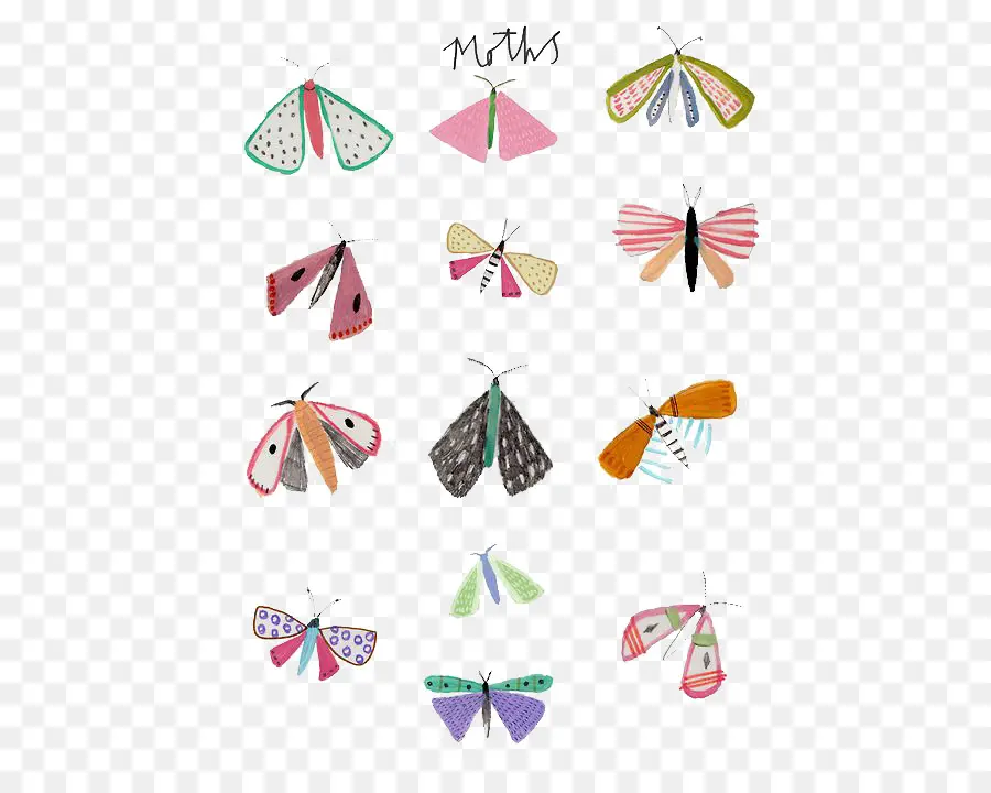 Papillons De Nuit，Coloré PNG